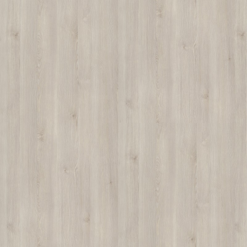 White Fano Pine
